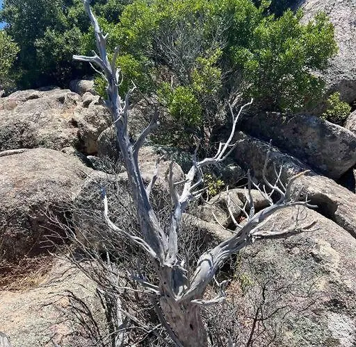 公寓 T3 Avec Spa, Hyper Centre, Port *