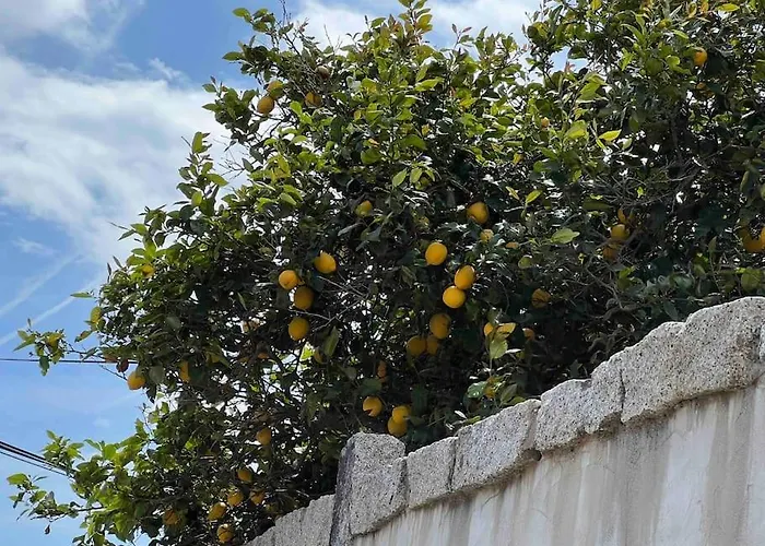 公寓 T3 Avec Spa, Hyper Centre, Port