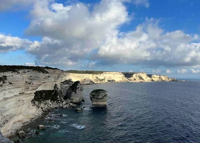 T3 Avec Spa, Hyper Centre, Port 公寓 维琪奥港