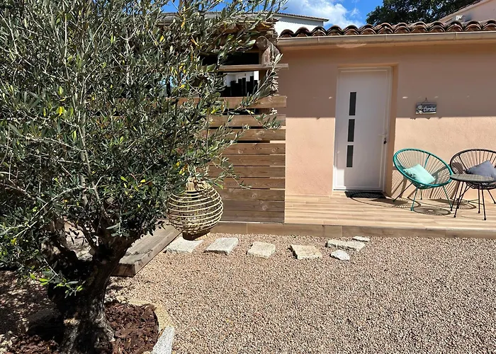 T3 Avec Spa, Hyper Centre, Port 维琪奥港