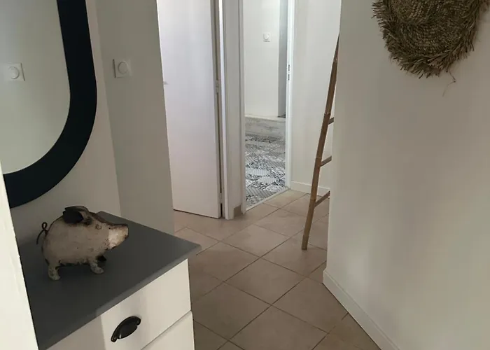 T3 Avec Spa, Hyper Centre, Port 公寓 维琪奥港